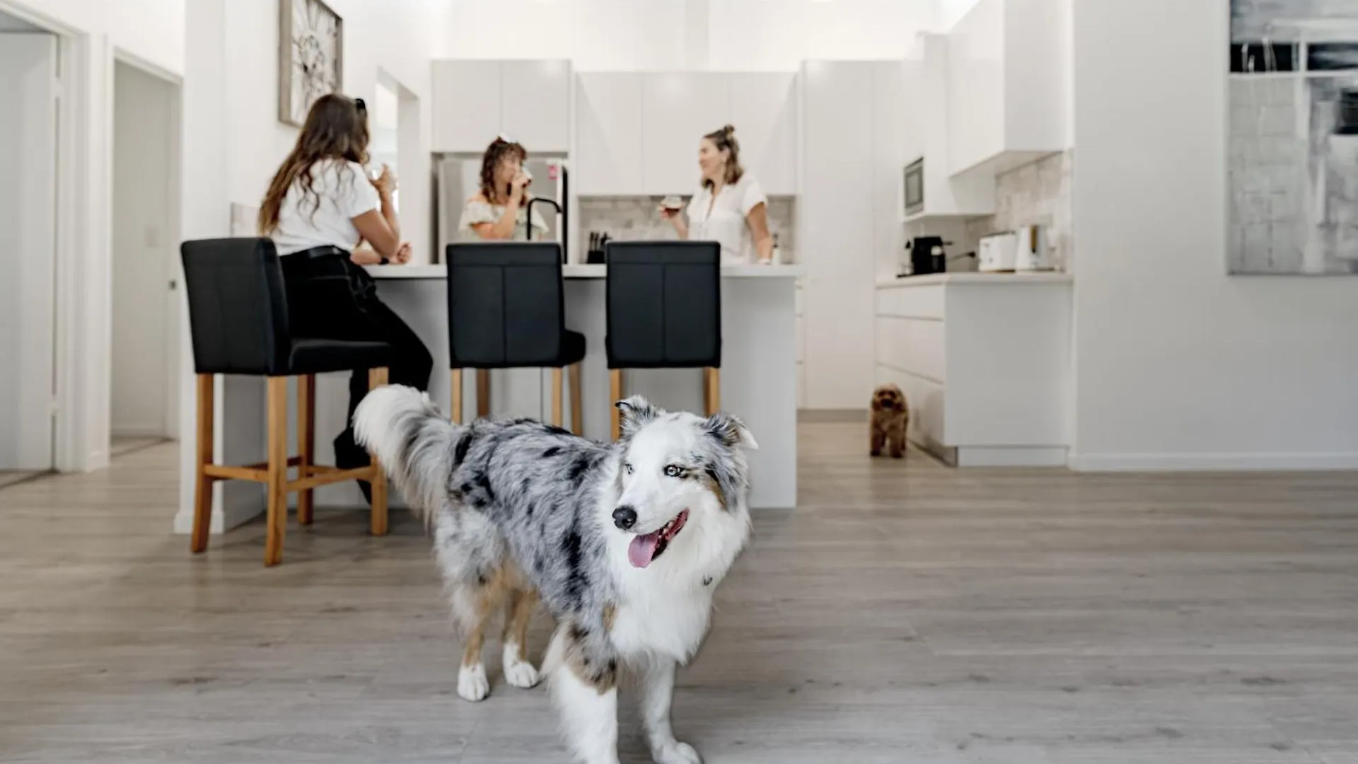 Family & Pet-Friendly Luxury Near Hastings St Villa Noosa Heads Holiday home